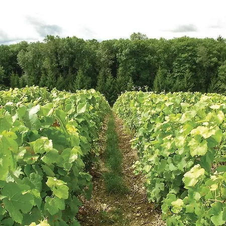 Σπίτι διακοπών C